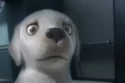 Pip animated short film 2018 scene showing brave little dog training to be a service helper