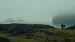 Puffling rescuers saving puffin chicks in Iceland during 2023 conservation efforts