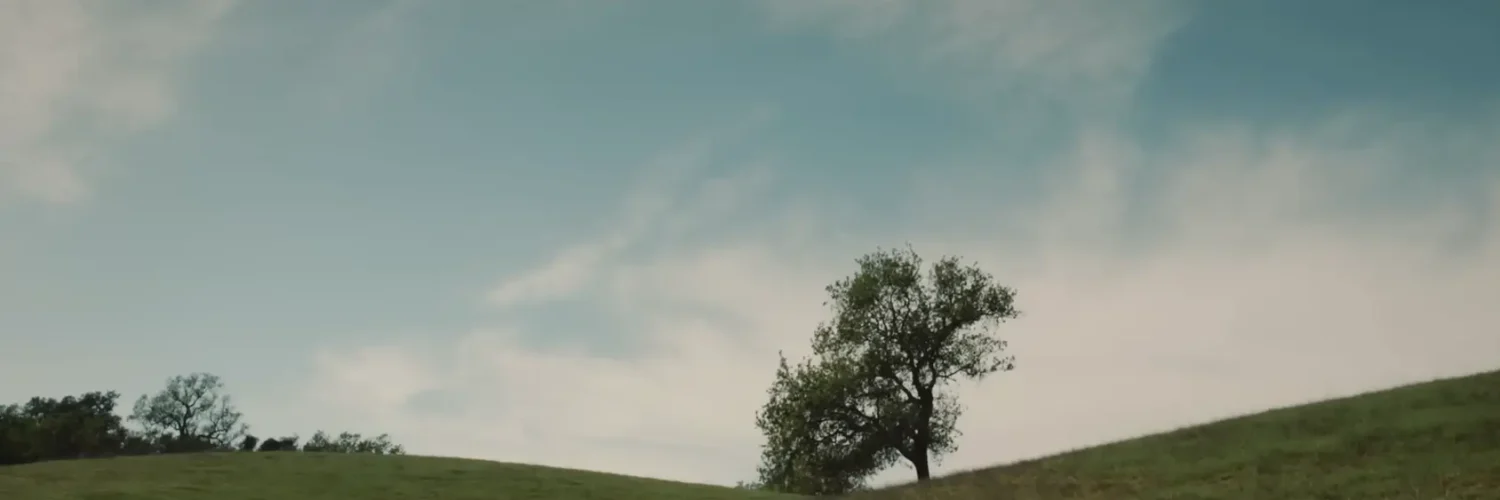 Crash Site sci-fi short film scene featuring Steven Yeun and Sam Richardson in a tense extraterrestrial crash setting